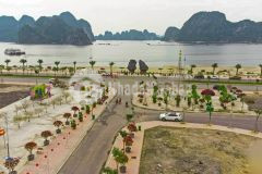 Cơ hội đầu tư sinh lời cao, cho anh chị em đầu từ