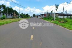 Đất thổ cư nghỉ dưỡng đẹp nhất khu vực tp bảo lộc lâm đồng