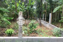 Bán đất lý nam đế, phường hương long, tp huế, 100m2 giá chỉ 1.2 tỷ.