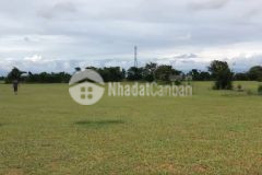 4144m2 đất trồng cây hàng năm, ngay đường liên huyện chỉ với giá 539 triệu đồng