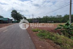 Đất bình phước giá 380 triệu có sổ sẵn còn 1 lô duy nhất diện tích siêu khủng 1900m2