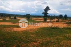 Đất giá rẻ xã bình tân ngay khu dân cư 4144m2 giá 539 triệu bao sang tên