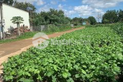 D504 bán lô đất phim trường phường khánh xuân