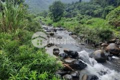 Bán đất kim bôi hòa bình dt670m có 400 đất ở bám suối, làm nghỉ dưỡng.