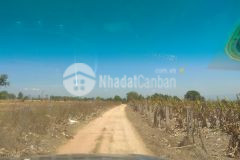 Bán 10,175m2 đất nông nghiệp hồng thái gần liên huyện và dân cư 915tr tặng 5 chỉ vàng lh 0938677909