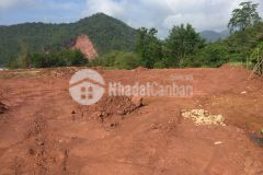 Bán mảnh đất mường sang thị trấn mộc châu vô cùng đẹp