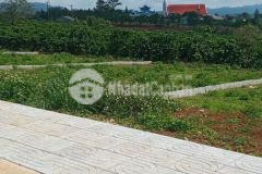 Cần bán gấp đất thổ cư 2 mặt tiền giá 5trm2 rẻ nhất kdl thác đambri bảo lộc