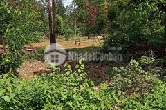 D513 bán đất hẻm đối diện sân bóng buôn culim