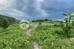 Bán đất vườn hơn 9 sào tặng thêm vườn bưởi lh 0788.558.552