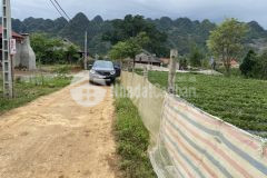 Nhanh tay sở hữu lô đất giá siêu rẻ tại phan cán sử y tý lào cai