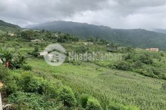 Chính chủ cần tiền bán mảnh đất 600m2 tại sapa2, có sẵn nhà, view nhìn về thung lũng