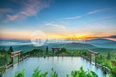 Đất thổ cư nghỉ dưỡng 2 mặt tiền siêu rẻ siêu hot nhất khu vực đambri bảo lộc lâm đồng