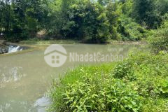 Bán gấp 7000m2 có 400m thổ cư tại đông bắc kim bôi hòa bình