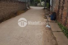 Cần bán 362 m2 đất chia 4 lô tại quán trạch liên nghĩa văn giang giá cực rẻ