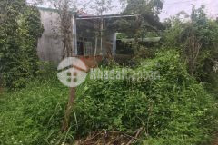 D517 ekao chưa bao giờ hết hot