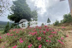 Trung tâm y tý 675m mà giá lại rất hợp lý đầu tư