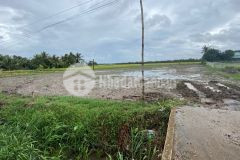 Bán 3,000m2 đất tuyến tránh tt.vĩnh bình, gò công tây, tiền giang. full thổ chỉ 4.8 tỷ. lh097378266