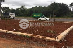 Bán đất giá đầu tư mặt tiền đường vành đai 304 tp buôn mê thuột đường rộng 36m 1,65 tỷ