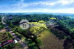 Đất nghỉ dưỡng du lịch nổi tiếng thổ cư chính chủ bảo lộc lâm đồng