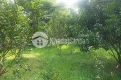 Chủ cần bán gấp lô đất có dt3200 đất vườn tại hạ bì kim bôi hòa bình