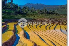 Bán mảnh đất 532m2 lao chải view đẹp nhất nhì y tý, giá mùa covid