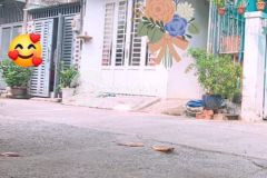 Nhà đẹp 3 tầng 75m2, 11pn đang cho thuê full, f14, gò vấp chỉ 6 tỷ 1