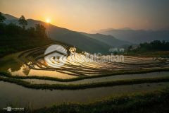 Bán mảnh đất lô góc ở y tý thích hợp làm homestay dành cho các nhà đâu tư