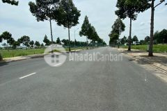 Đất nền stella mega city.