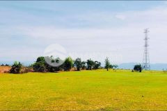 Lô đất tại bình tân bắc bình diện tích 5871m2 ngay đường liên huyện, sổ hồng riêng