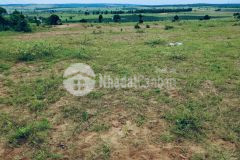 Nền 4144m2 xã bình tân giá 414 triệu, gần đường ra ql1a