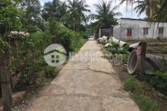 Đất thổ cư đường ô tô trung an