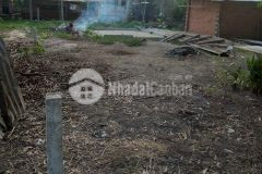 Bán 82,5m2 full thổ tại xã lợi thuận, huyện bến cầu, tây ninh chỉ 260 triệu. lh0969841329