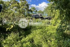 Bán mảnh 3800m làm homestay tuyệt đẹp ở mường sang mộc châu