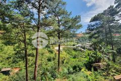 4576m2 có 300m2 xây dựng đất view rừng thông đặng thái thân mặt tiền rộng đến gần 100m giá chỉ 8,7 t