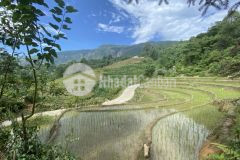Chính chủ cần bán mảnh đất 668m2, quy hoạch đất ở, view ruộng bậc thang toàn cảnh y tý