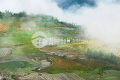 Bán gấp mảnh đất đón đâu y tý giá ưu đãi nhất thị trường