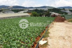 120m2 giá 1,65 tỷ đất bằng thoáng đẹp đường xe tải ngô quyền