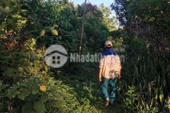 Bán nhanh mảnh đất bàn lùn thị trấn mộc châu giá covid