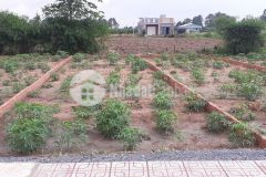 Bán lô đất nền tam phước vuông vức giá lại đầu tư