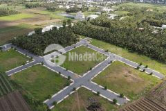 Đât thô, dê dang sơ hưu, gia siêu re, nhanh chân thi con,châm chân thi hêt...