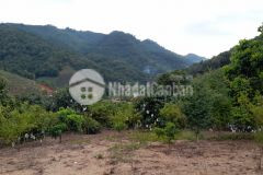 Chính chủ cần bán mảnh đất 3000m2 tại bản búa, ô tô vào tận đất. lh 0933.56.1998