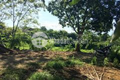 Bán đất lương sơn hòa bình dt 4500m2 có nhà cấp 4 và vườn cây aen quả