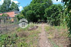 Bán gấp 3 miếng đất khu di tích giàn gừa, cái răng, shr, đầu tư sinh lời. lh0977349451.