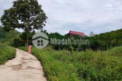 Cần bán dt 18000 ở kim boi hòa bình có nhà sàn đẹp và vườn cây ăn quả.