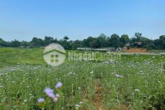 Bán đất lương sơn hòa bình dt3350m2 view cánh đồng siêu đẹp