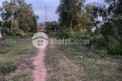 Bán đất dãy 2 mặt tiền lê duẩnái tử300m2 chỉ 1ty5xx