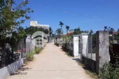 Đất phong niên hạ giá rẻ 5x20 lô góc chỉ 500tr sinh lời nhanh