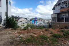 Bán đất đường tôn thất tùng phường 8 tp. đà lạt. diện tích 536,5 mv giá bán 15 tỷ