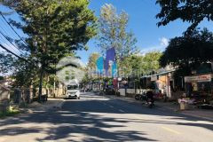 Bán đất mặt tiền đường yersin phường 9 tp. đà lạt. diện tích 80,73 mv 4,517,76 giá bán 12,5