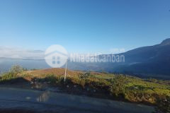 Cần tiền bán nhanh 800m phan cán sử tặng 2 nhà